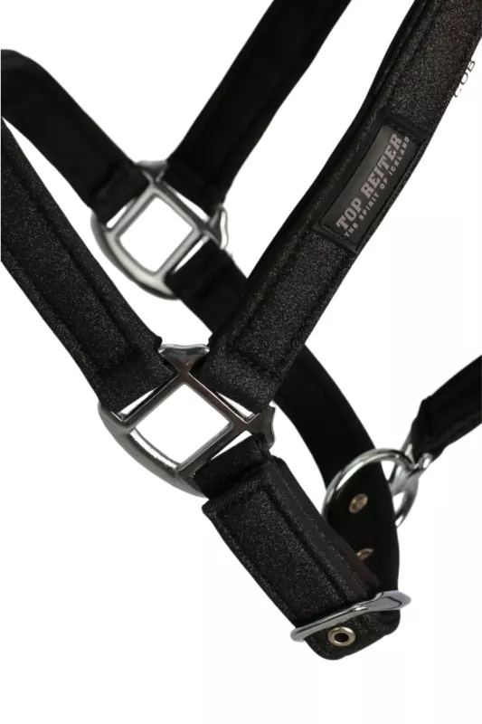 Topreiter Glitrandi Grimset