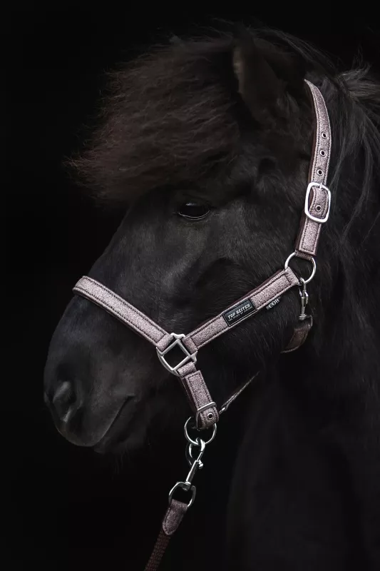 Topreiter Glitrandi Grimset