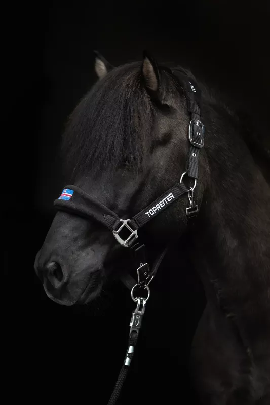 Topreiter Klaki Grimset