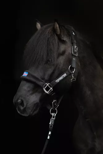 Topreiter Klaki Grimset