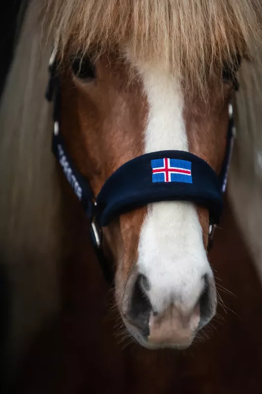 Topreiter Klaki Grimset