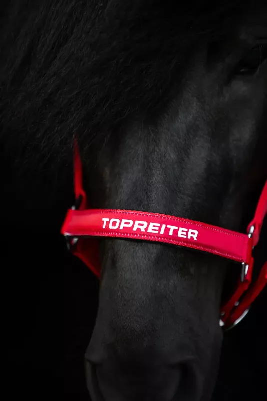 Topreiter II Grimma