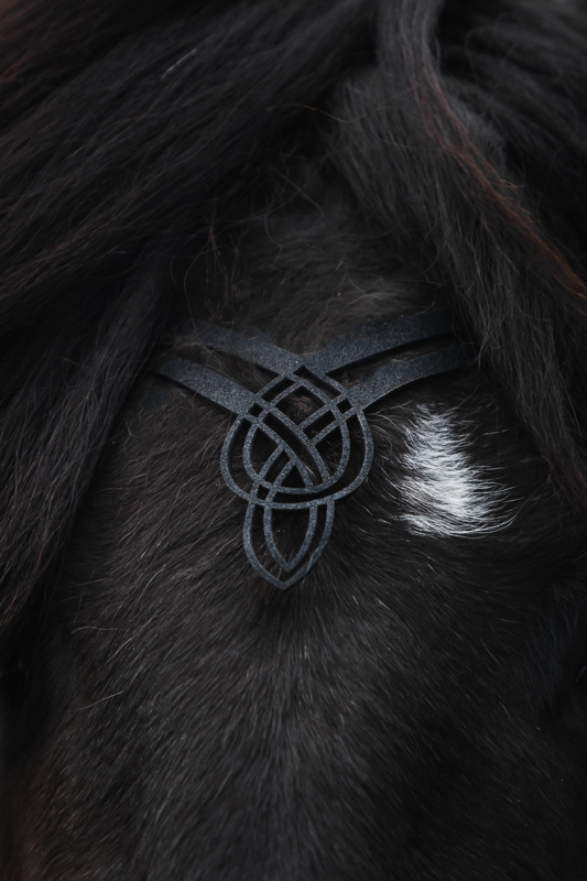 Huvudlag Lækur Top Reiter