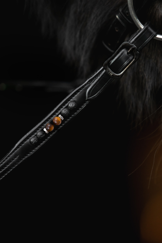 Topreiter Orka-lädertyglar