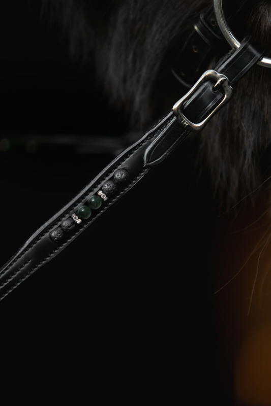 Topreiter Orka-lädertyglar