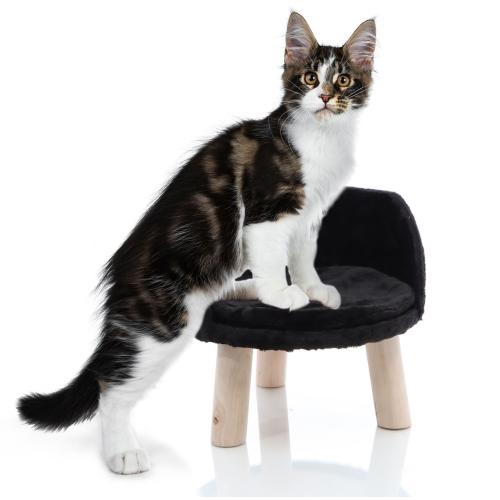 Katt klösträd kaktusgrönt 172 cm med sisal och hängmatta