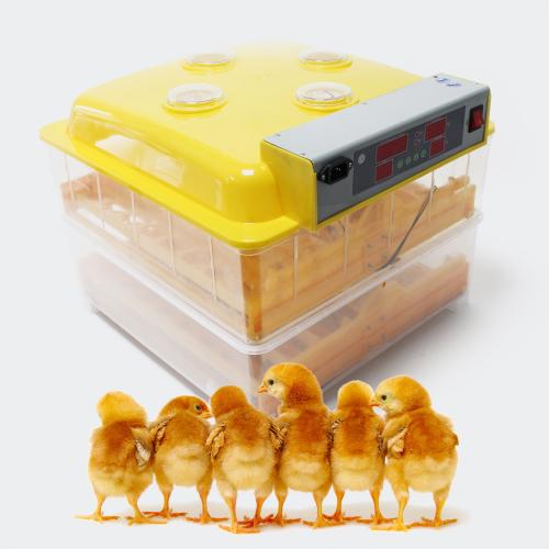 Automatisk kläckningsmaskin 96 ägg