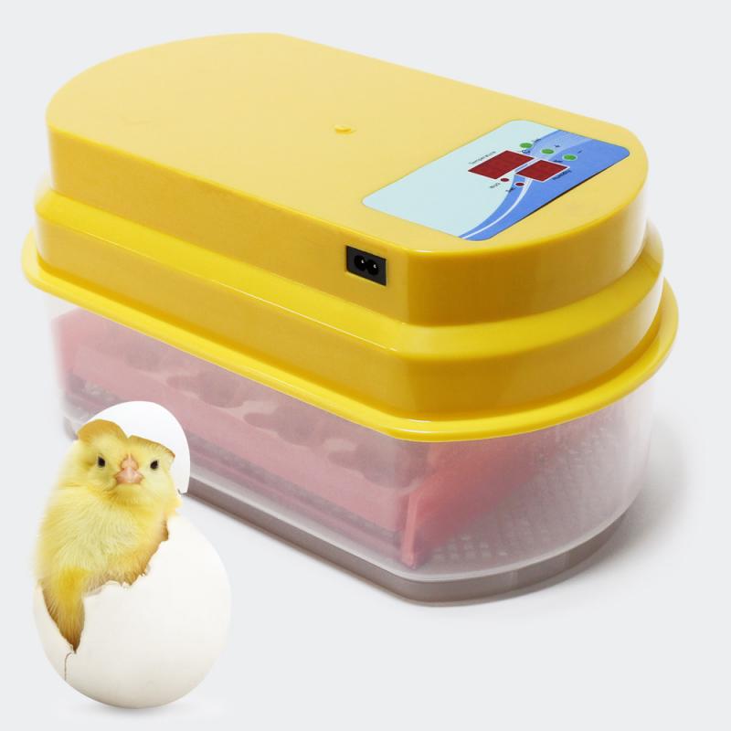Automatisk kläckningsmaskin 12 ägg