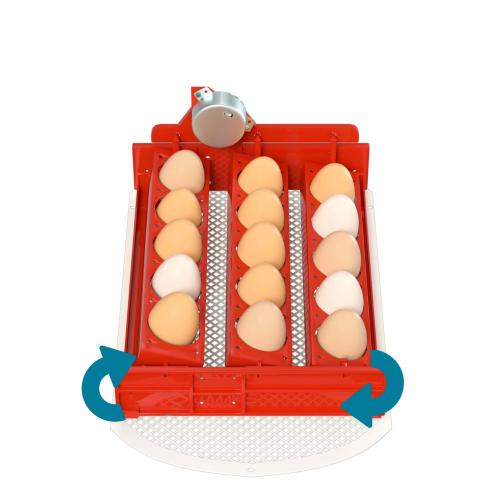 Automatisk kläckningsmaskin 15 ägg
