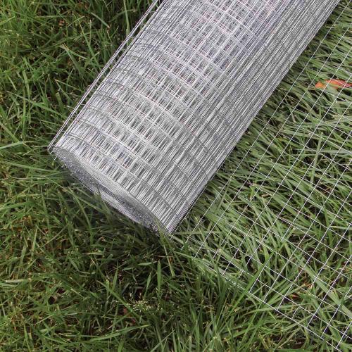 Trådnät galvaniserat 1m x 10m maska 12x12mm