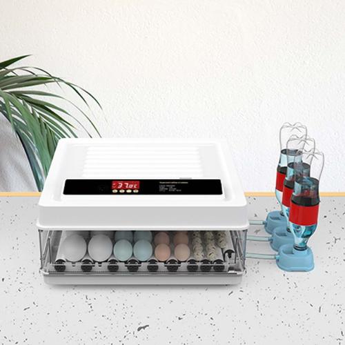 Inkubator helt automatisk 24 ägg kläckningsmaskin