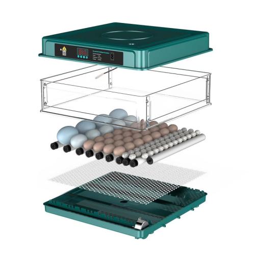 Inkubator helt automatisk 48 ägg kläckningsmaskin