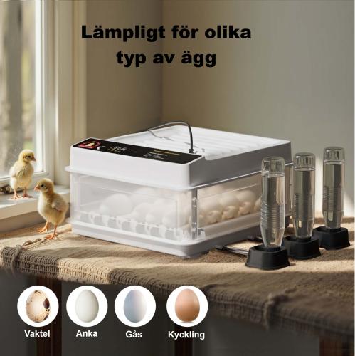 Inkubator helt automatisk 36 ägg kläckningsmaskin
