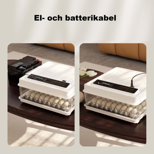 Kläckningsmaskin helt automatisk 64 ägg inkubator