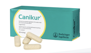 Canikur