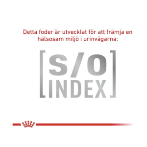 Derma Hypoallergenic Small Dog