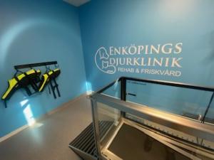 Kampanj Vattentrask & Balansboll