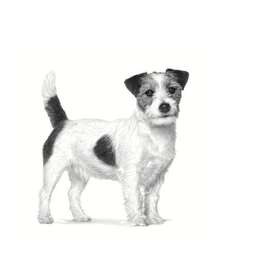 Helath Mature Consult Small Dog