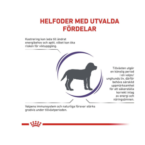 Health Neutered Junior