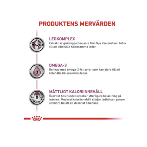 Vital Mobility Support