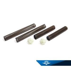 Framgaffelfjädersats Kreidler nyare