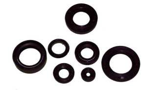 Packboxskit Yamaha FS1/DX