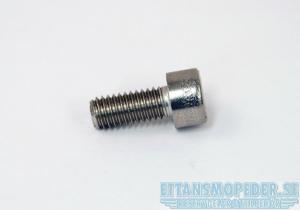 Skruv M6x14 insex Sachs