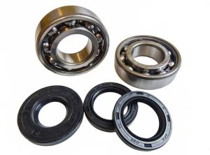 Ramlager-Packboxar Hyosung SKF