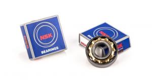 Ramlager L17 NSK Sachs/Puch