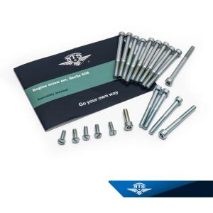 Skruvsats motor Sachs 505/1/2/3