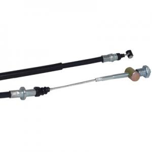 Bakbromswire PGO T-Rex