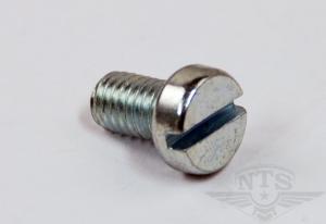 Spårskruv M5x8mm FZB