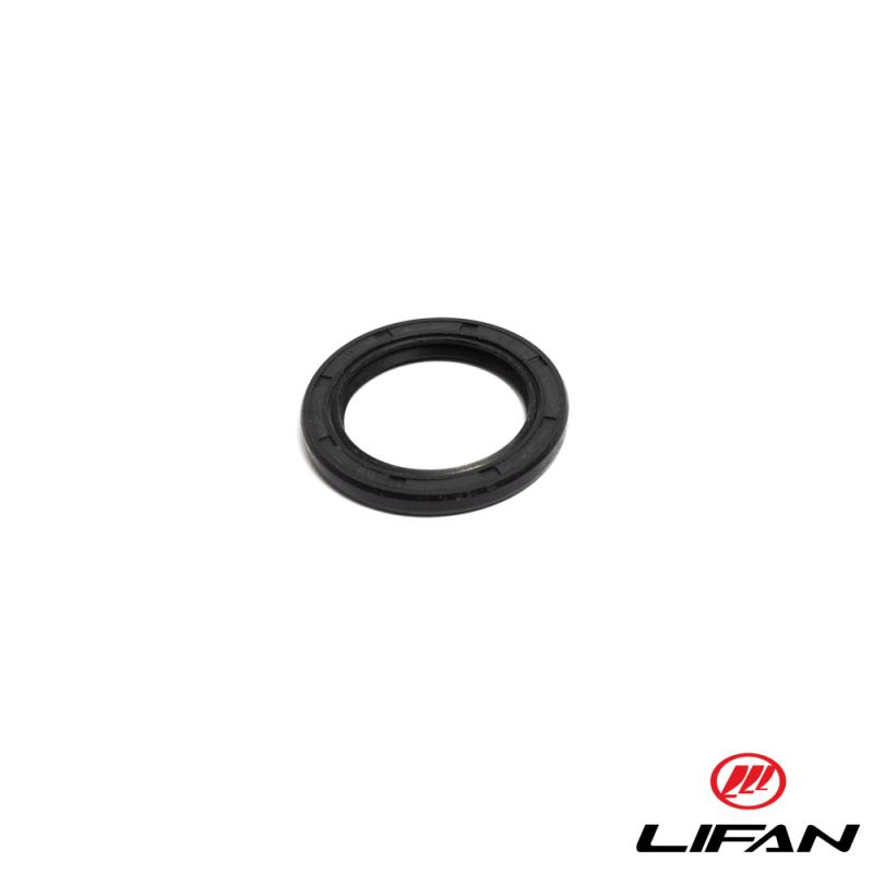 Packbox Lifan 4takt 30x42x4,5mm