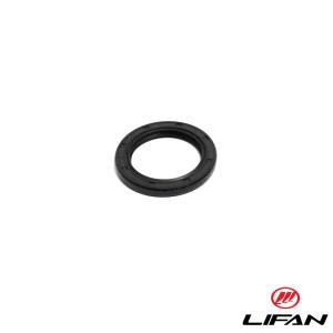 Packbox Lifan 4takt 30x42x4,5mm
