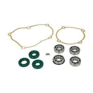 Renoveringssats Puch Maxi 10 delar