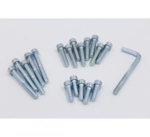 Skruvsats Puch Maxi (insexskruv)