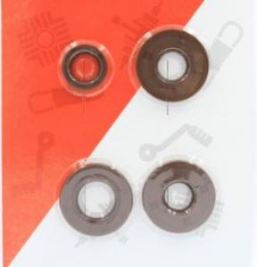 Packboxskit Puch Maxi Viton