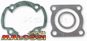 Sotsats Peugeot Speedfight mfl Malossi 47mm