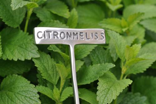 Växtskylt CITRONMELISS