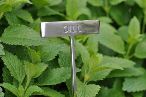 Växtskylt DILL