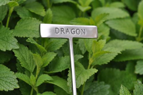 Växtskylt DRAGON