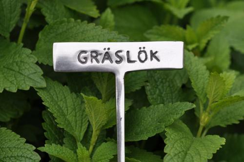 Växtskylt GRÄSLÖK