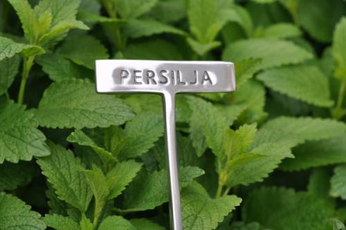 Växtskylt PERSILJA