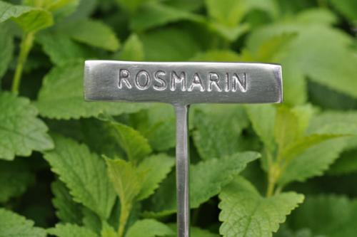 Växtskylt ROSMARIN