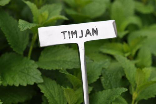 Växtskylt TIMJAN
