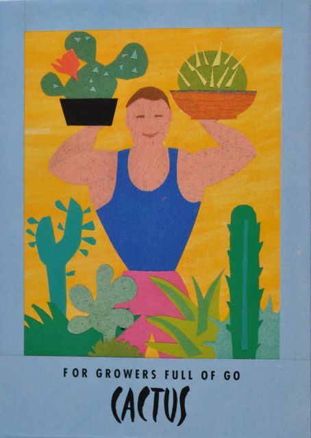 Seed Packet Postcard - Cactus