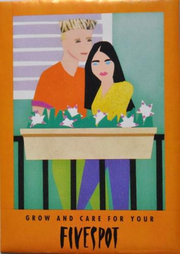 Seed Packet Postcard - Fivespot