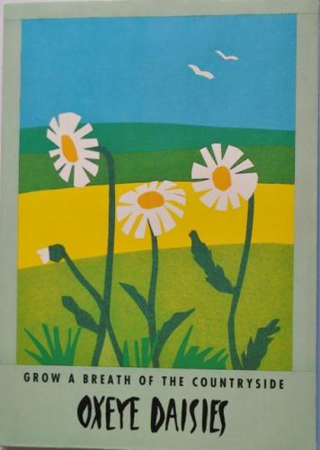 Seed Packet Postcard - Oxeye Daisies