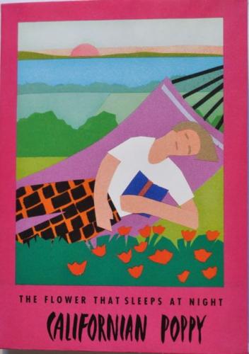 Seed Packet Postcard - Californian Poppy