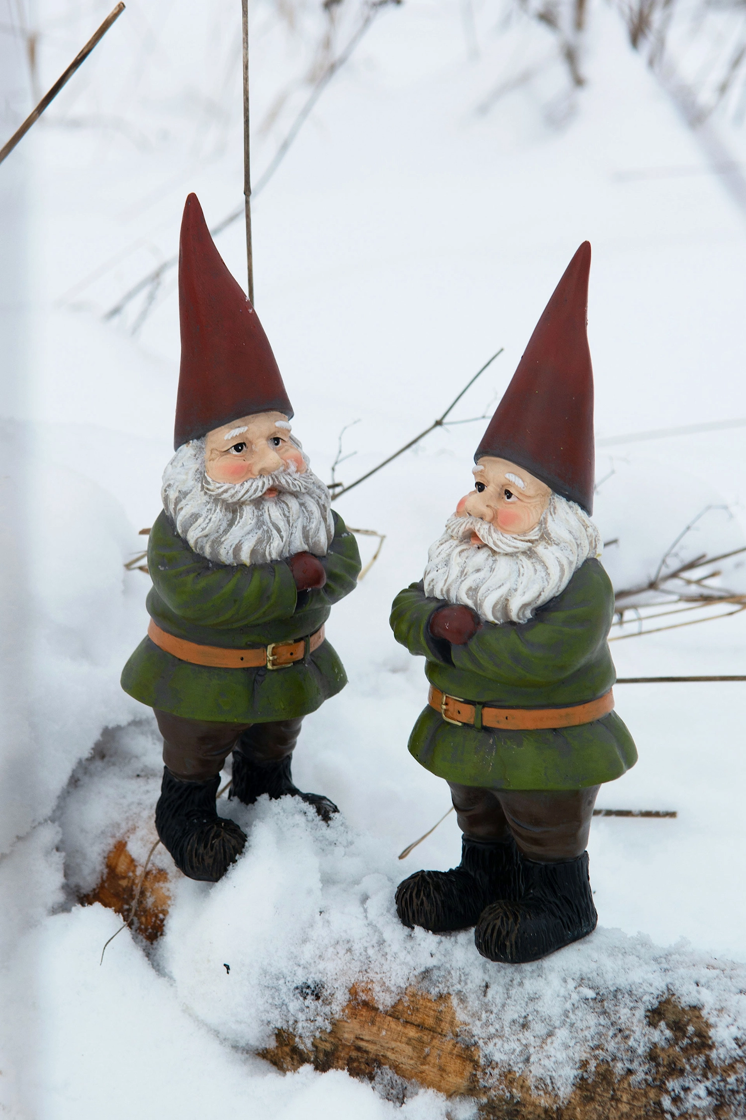 Hustomte - Vätte 20 cm